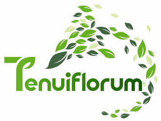 TENUIFLORUM